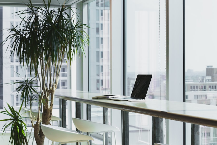 Multinational Executive Suite